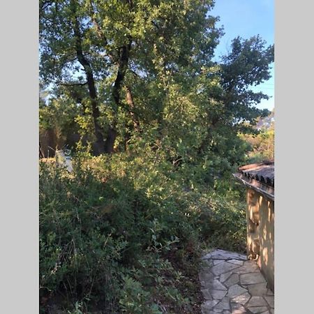 L'Escapade. Entre Aix Et Marseille, Studio Pleine Nature. Fuveau Zewnętrze zdjęcie