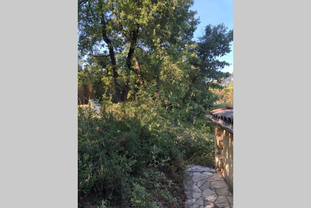 L'Escapade. Entre Aix Et Marseille, Studio Pleine Nature. Fuveau Zewnętrze zdjęcie